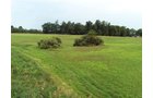Property photo 12 - 72 Acres offered in 6 Tracts